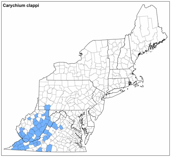 Carychium clappi Range Map